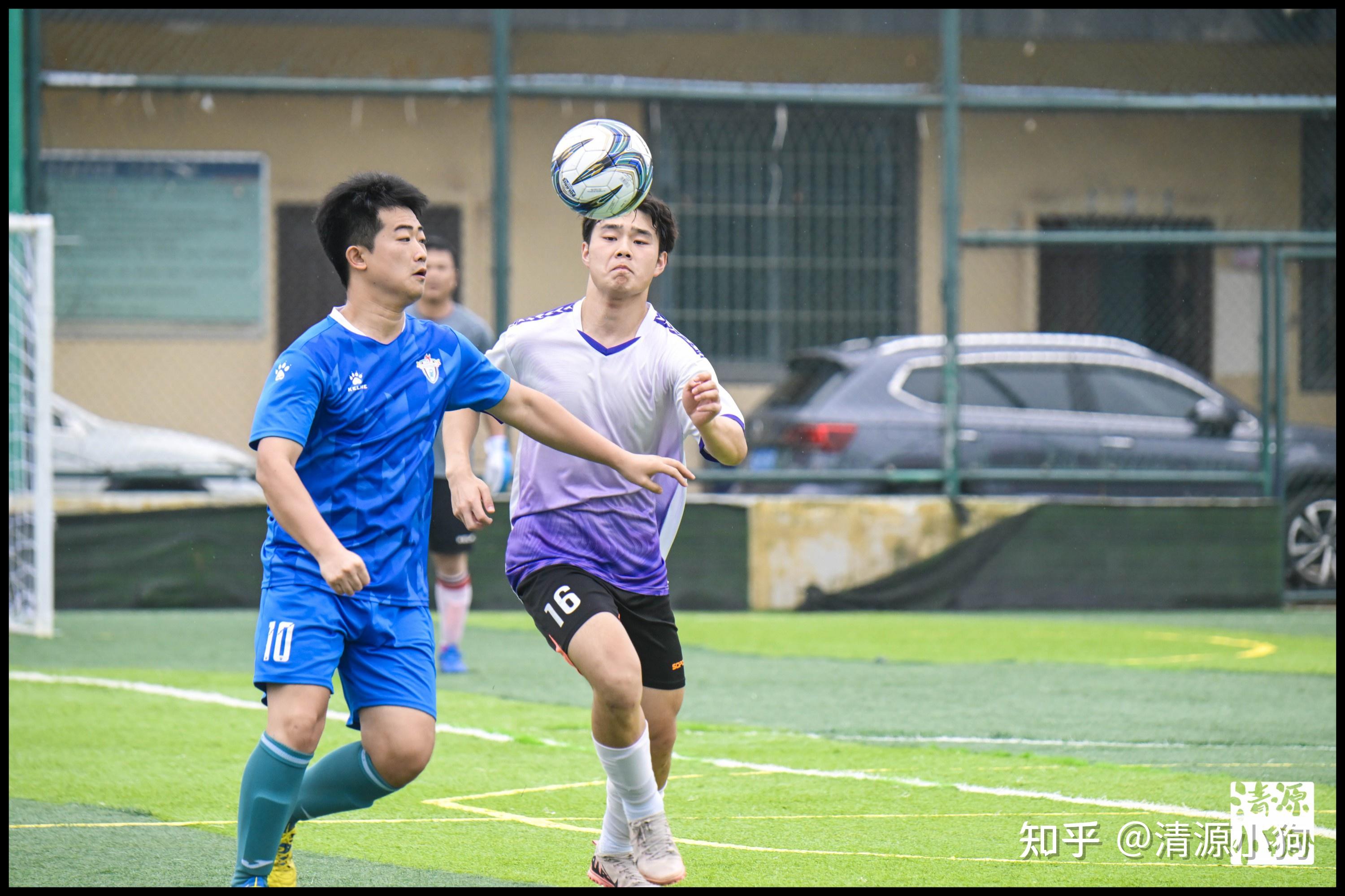 我总能赢 我总能赢